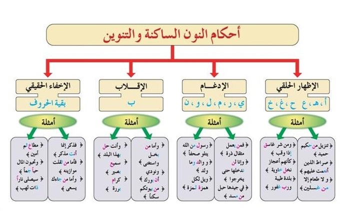 02 noun | موسوعة الشرق الأوسط