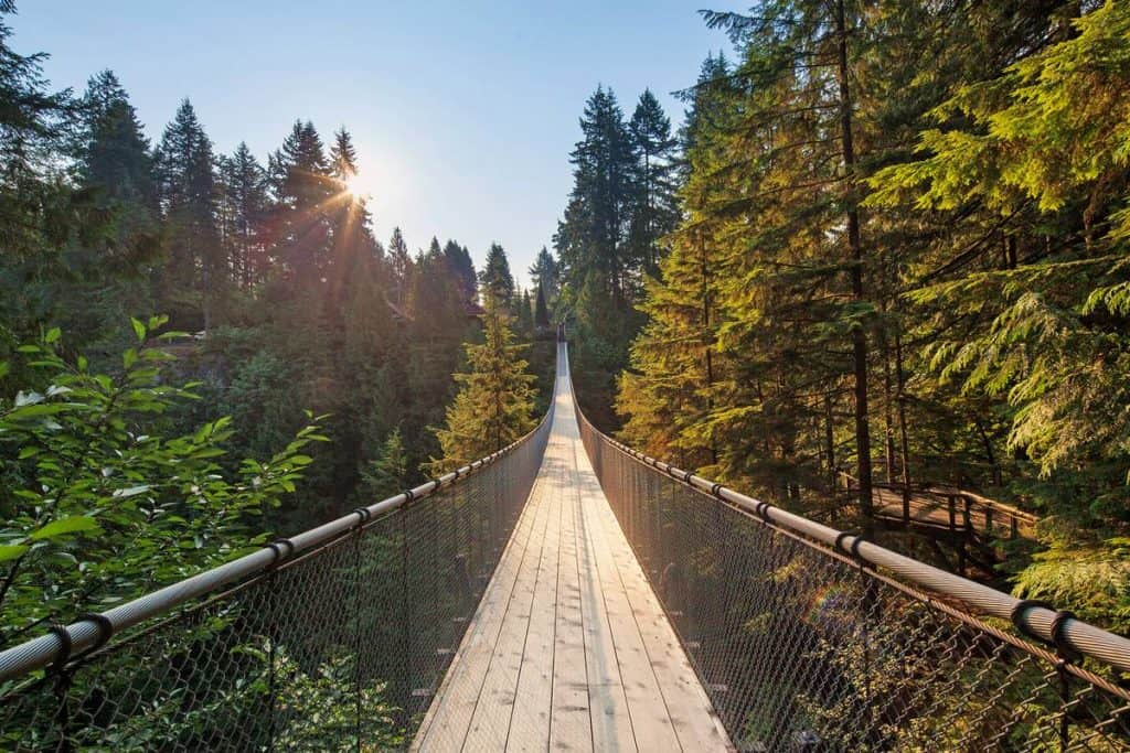 1 capilano suspension bridge 1 | موسوعة الشرق الأوسط