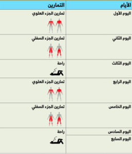 11 1 | موسوعة الشرق الأوسط