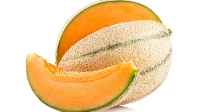 1200 26820518 seedless cantaloupe | موسوعة الشرق الأوسط