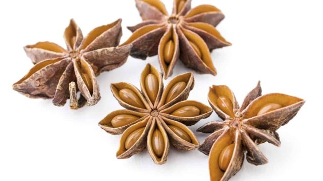 1200 484400251 herbal star anise | موسوعة الشرق الأوسط