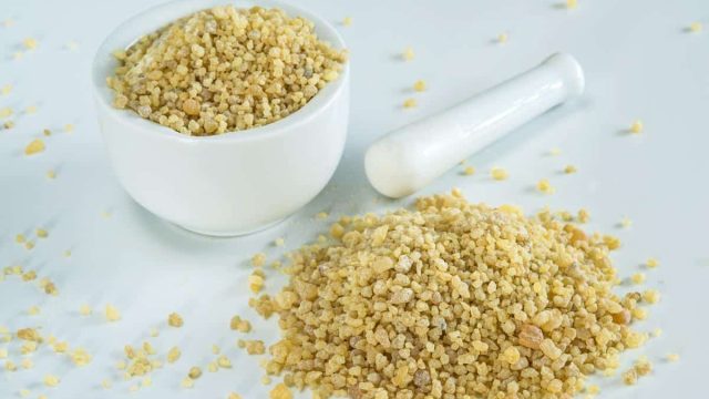 1200 6693 boswellia photo1 | موسوعة الشرق الأوسط