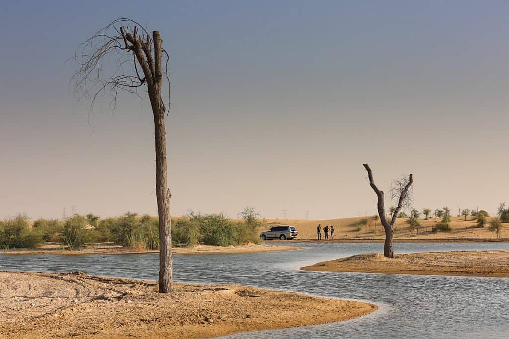 1200px Al Qudra Lake in the Dubai Desert | موسوعة الشرق الأوسط