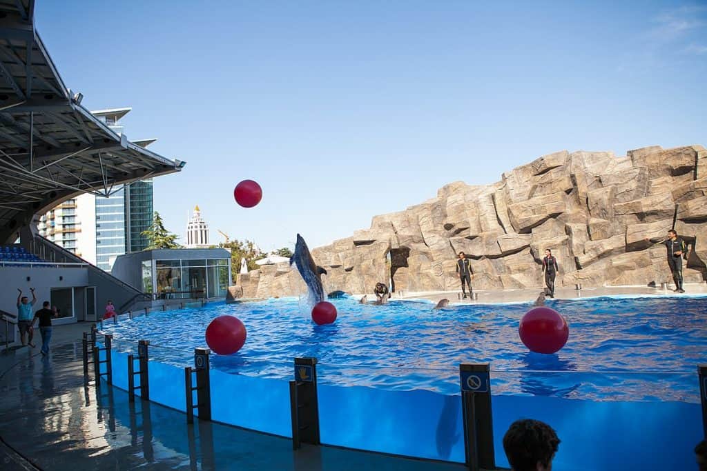 1200px Batumi dolphinarium 2 | موسوعة الشرق الأوسط