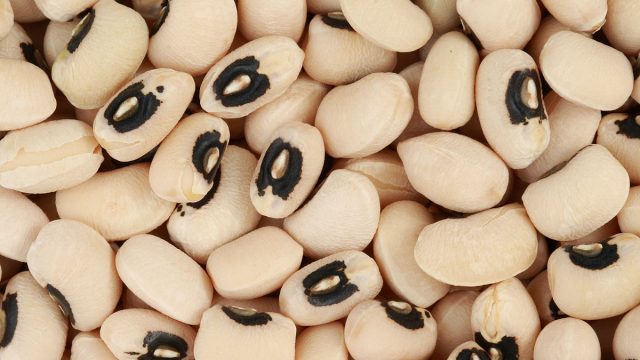 1200px BlackEyedPeas | موسوعة الشرق الأوسط