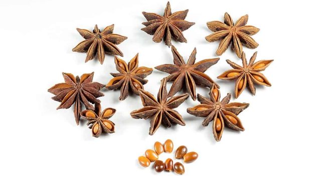 1200px Dried Star Anise Fruit Seeds | موسوعة الشرق الأوسط