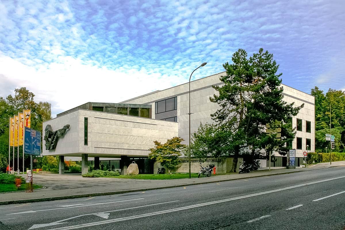 1200px Muséum dHistoire Naturelle de Genève | موسوعة الشرق الأوسط