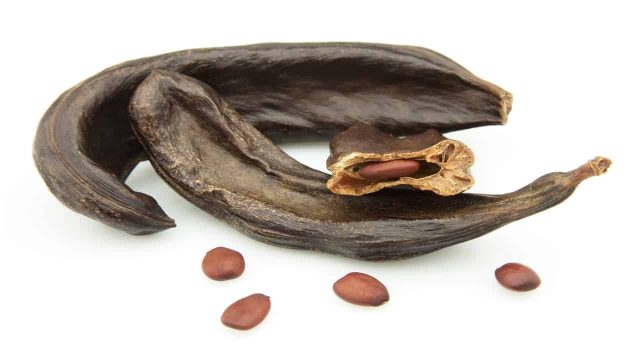 1280 156301464 carob pods and seeds | موسوعة الشرق الأوسط