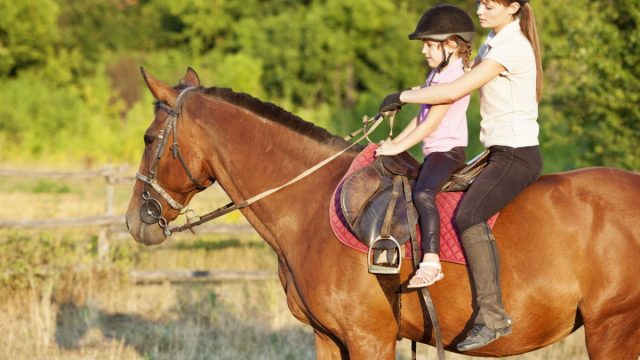 1280 171330832 child riding horse outdoors | موسوعة الشرق الأوسط