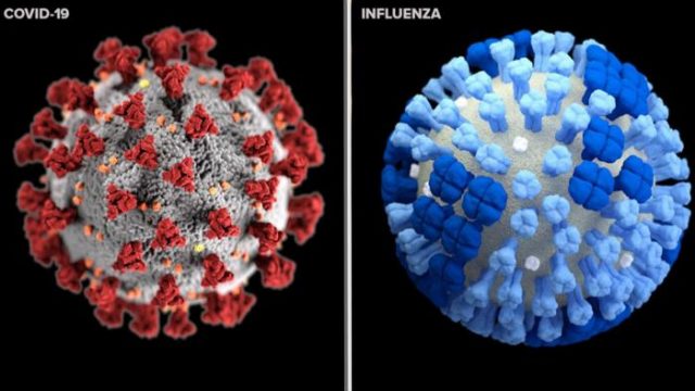 135 170408 coronavirus seasonal flu syndrome 700x400 | موسوعة الشرق الأوسط