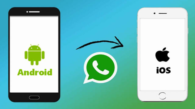 143 004448 transfer whatsapp android iphone 5 | موسوعة الشرق الأوسط