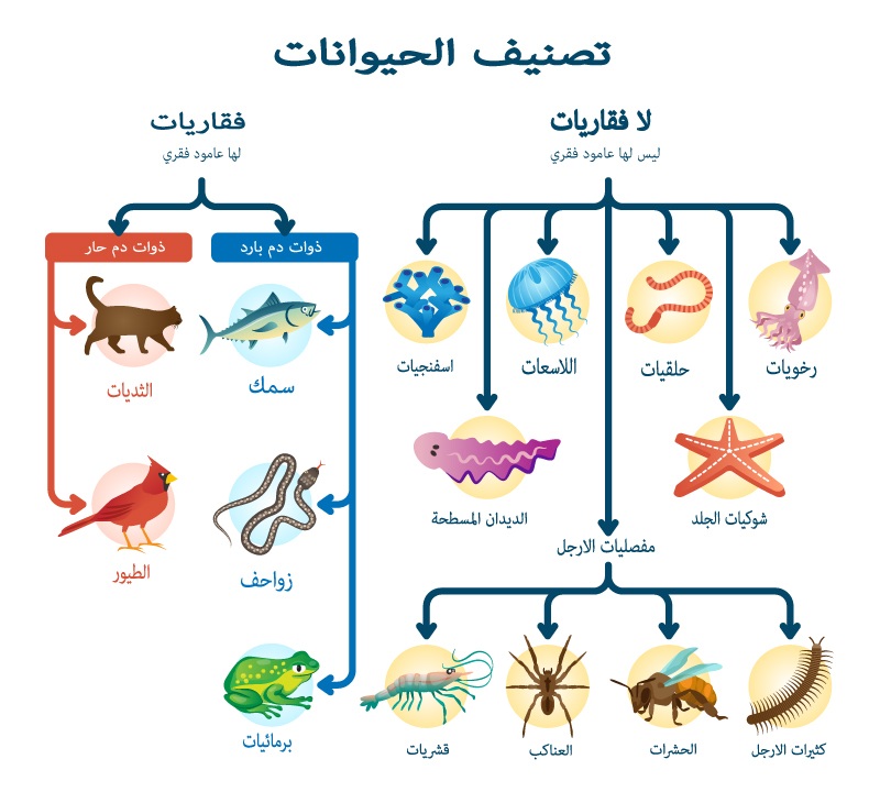 3 8 | موسوعة الشرق الأوسط