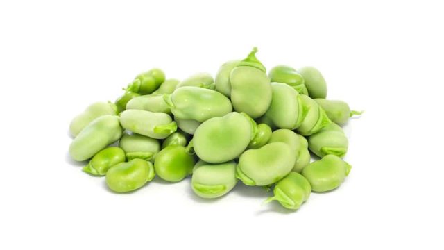 30 Broad Beans | موسوعة الشرق الأوسط