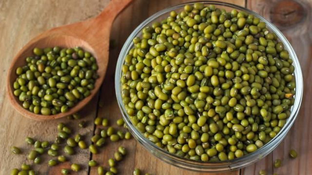 4 mung bean | موسوعة الشرق الأوسط