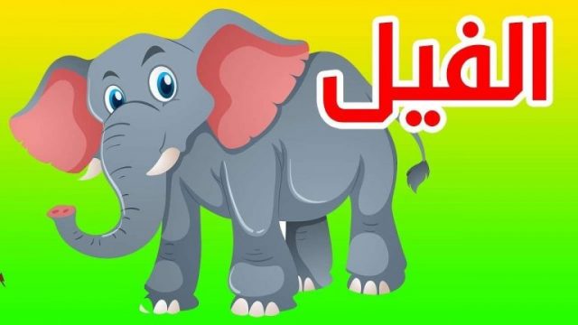 5 46 | موسوعة الشرق الأوسط