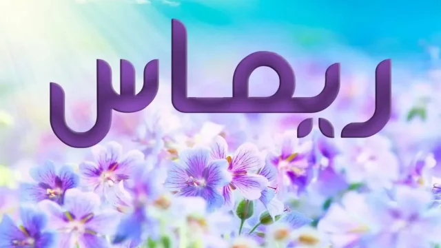 5356 | موسوعة الشرق الأوسط