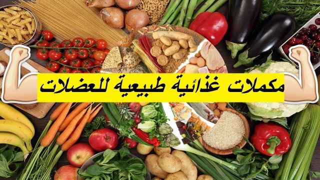 815 3 | موسوعة الشرق الأوسط