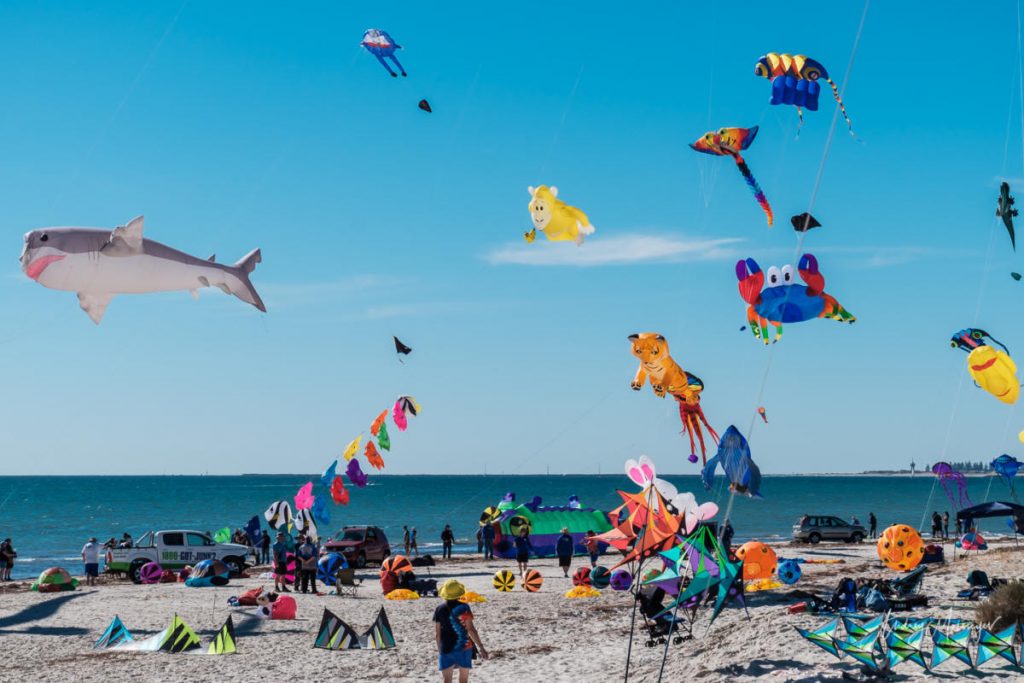 Adelaide International Kite Festival 2018 DSCF9650 | موسوعة الشرق الأوسط