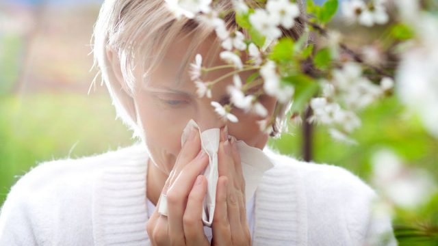 Allergies | موسوعة الشرق الأوسط