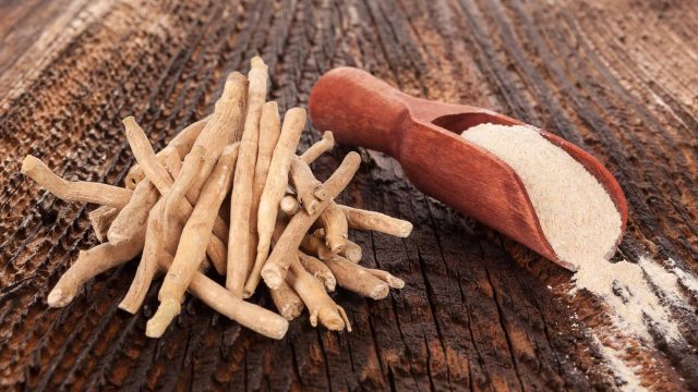 Ashwagandha | موسوعة الشرق الأوسط