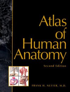 Atlas of Human Anatomy Netter | موسوعة الشرق الأوسط