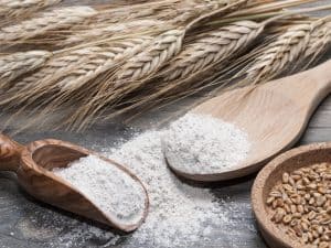 Barley flour | موسوعة الشرق الأوسط