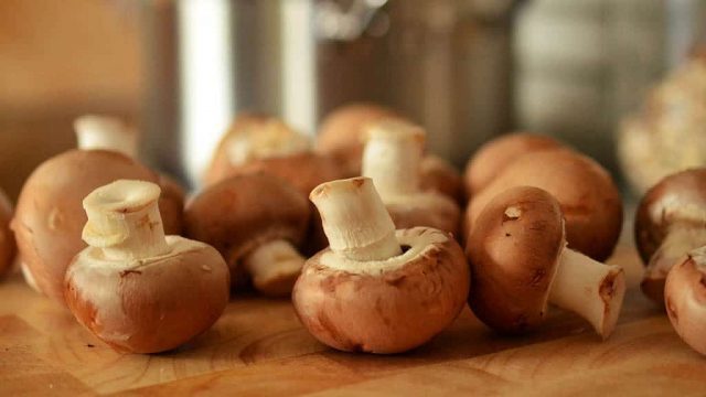 Benefits of Mushroom | موسوعة الشرق الأوسط