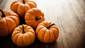 Benefits of pumpkin | موسوعة الشرق الأوسط