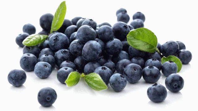 CAP BLUEBERRY 2 | موسوعة الشرق الأوسط