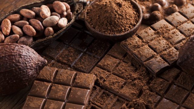 Cocoa solids | موسوعة الشرق الأوسط