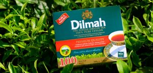 DILMAH | موسوعة الشرق الأوسط