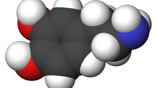 Dopamine 3d CPK | موسوعة الشرق الأوسط