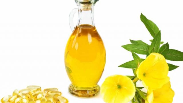 Evening primrose oil | موسوعة الشرق الأوسط