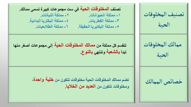 FAUR5qNWUAMac2o | موسوعة الشرق الأوسط