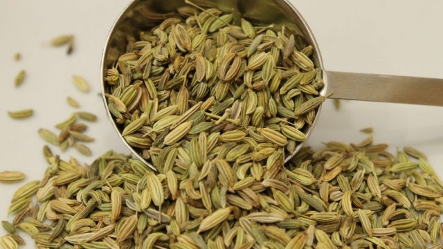 Fennel Whole 1 1024x683 | موسوعة الشرق الأوسط