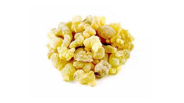 Frankincense Essential Oil | موسوعة الشرق الأوسط