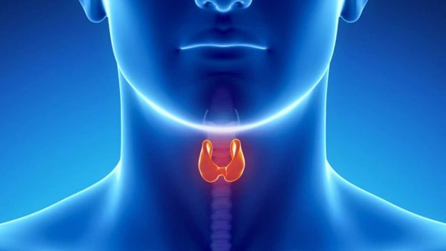 Hypothyroidism new | موسوعة الشرق الأوسط