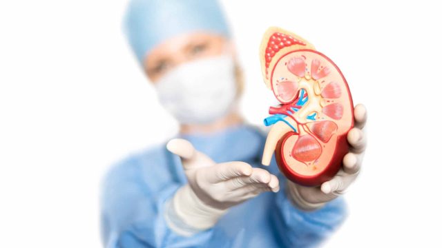 Kidney failure | موسوعة الشرق الأوسط