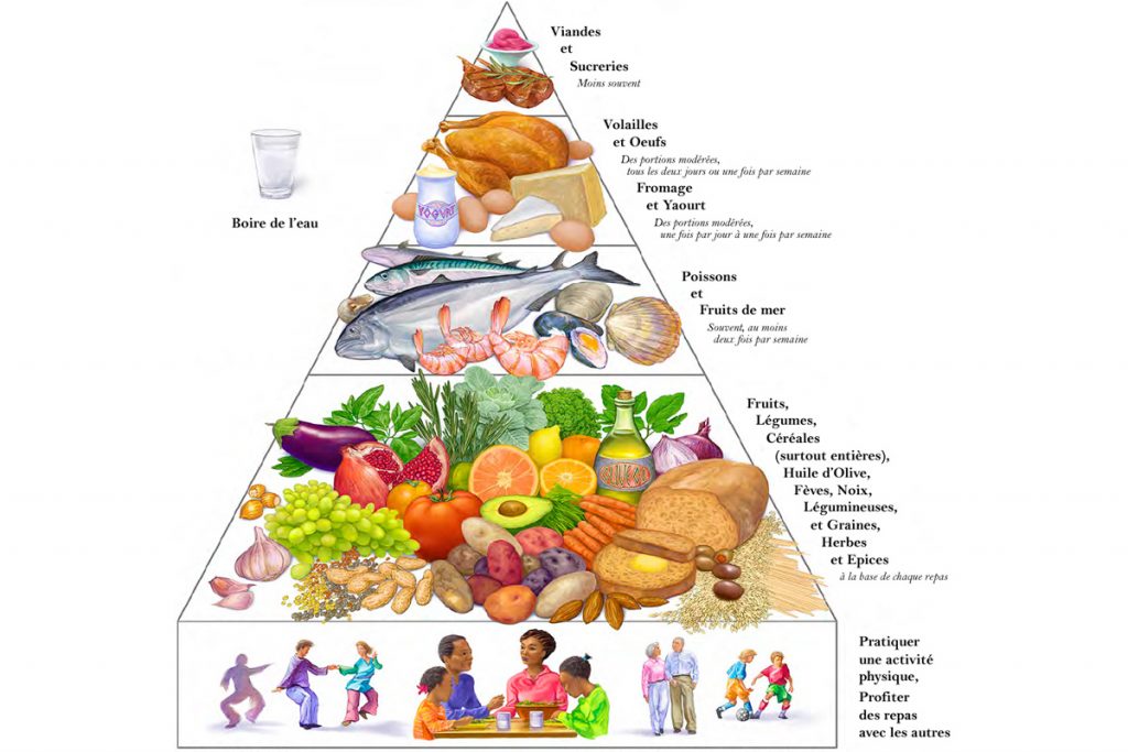 La Pyramide du Regime Mediterraneen | موسوعة الشرق الأوسط