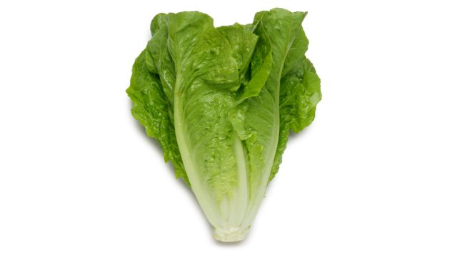 LettuceRomaineiStock | موسوعة الشرق الأوسط