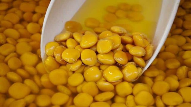 Lupini Beans Health | موسوعة الشرق الأوسط