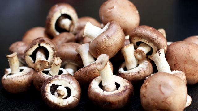 Mushroom1 | موسوعة الشرق الأوسط