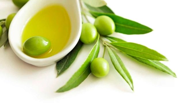 Olive | موسوعة الشرق الأوسط