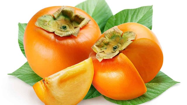 Persimmon Closeup 453961 | موسوعة الشرق الأوسط