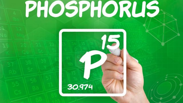 Phosphorusv | موسوعة الشرق الأوسط