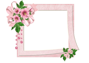 Pink Frame with Flowers and Ribbon1 | موسوعة الشرق الأوسط