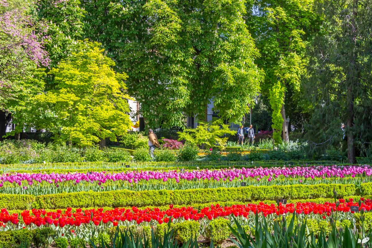 Real Jardín Botánico de Madrid7 | موسوعة الشرق الأوسط