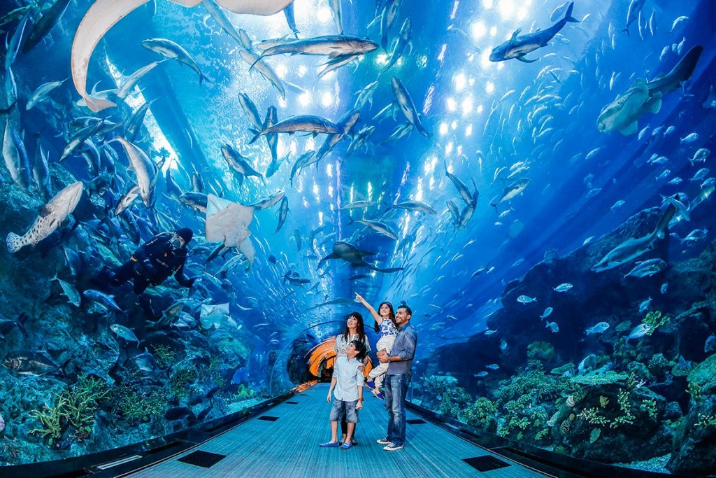 Researcher Ticket Dubai Mall Aquarium Underwater Zoo | موسوعة الشرق الأوسط