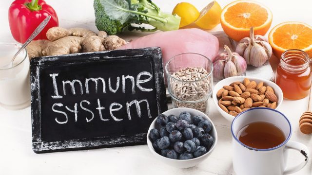 SH sistema immunitario | موسوعة الشرق الأوسط