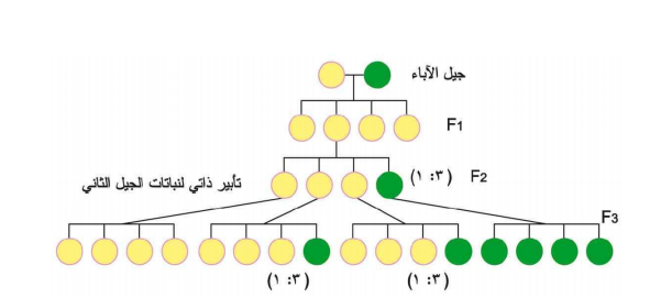 Screenshot 1318 | موسوعة الشرق الأوسط